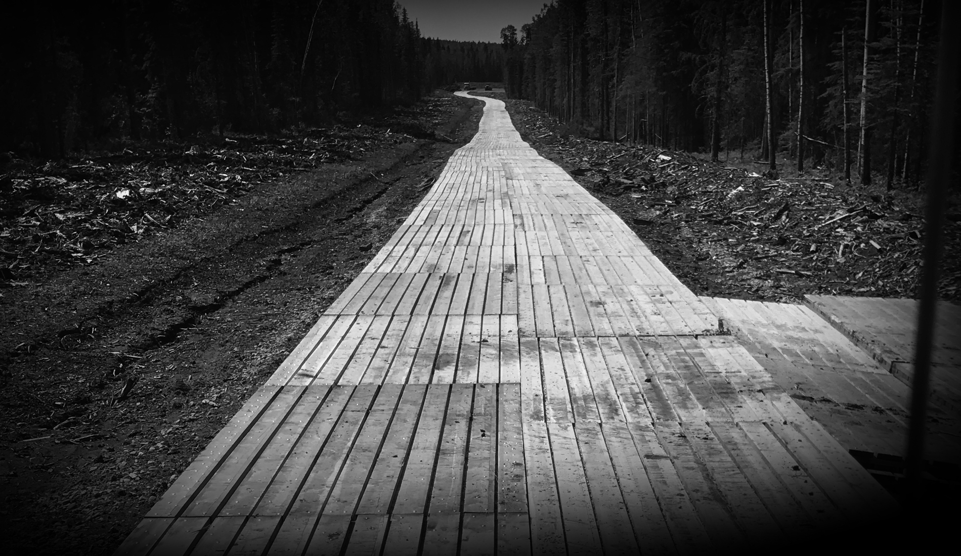 long road lined with access mats in between trees in Alberta, Canada